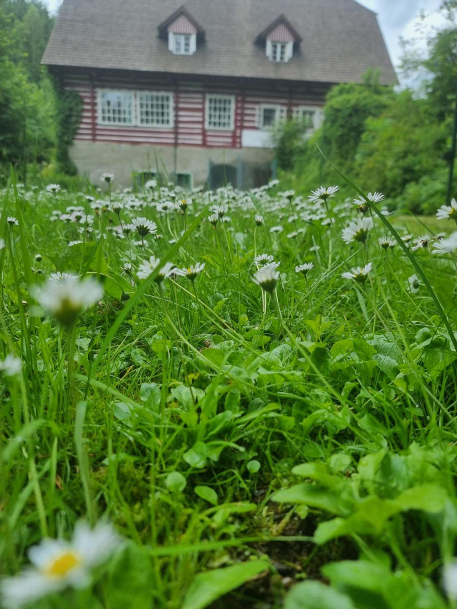 Roubenka Mlyn U Skaly Destne V Orlickych Horach Volne Terminy 5 Bytu Exterior foto