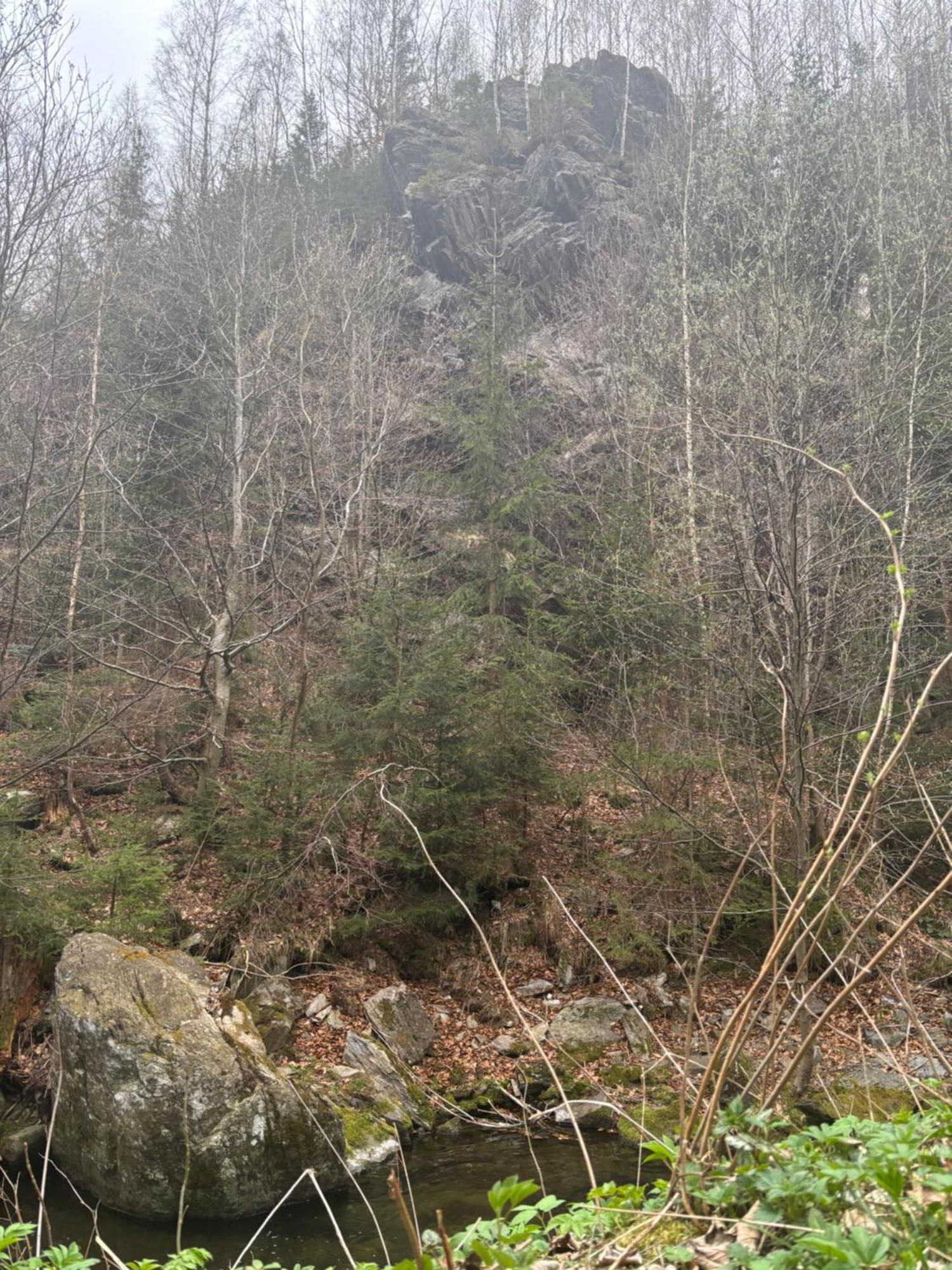 Roubenka Mlyn U Skaly Destne V Orlickych Horach Volne Terminy 5 Bytu Exterior foto