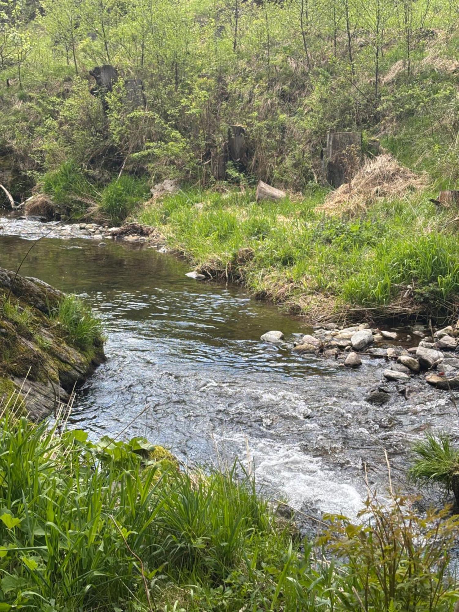 Roubenka Mlyn U Skaly Destne V Orlickych Horach Volne Terminy 5 Bytu Exterior foto